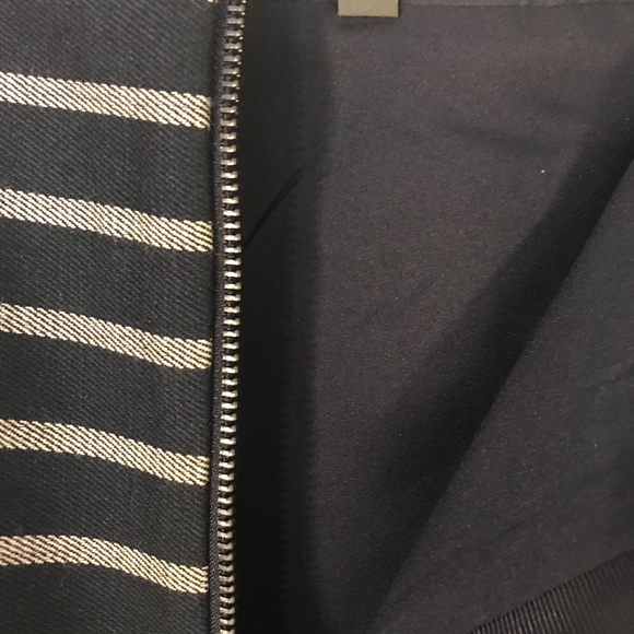 The Limited Striped Skirt with Zipper down front - Picture 4 of 5